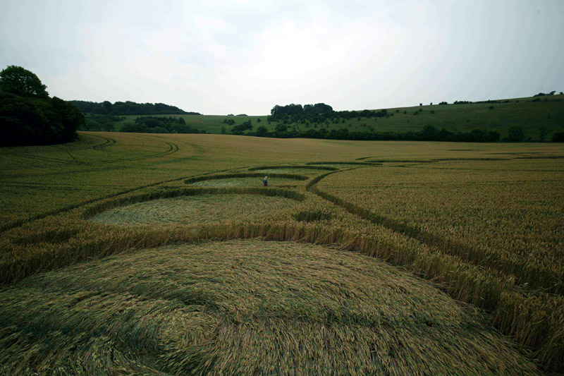 Cosmic Serpent Crop Circle Ground View West Woodhay Down Wiltshire 29th July 2011.jpg