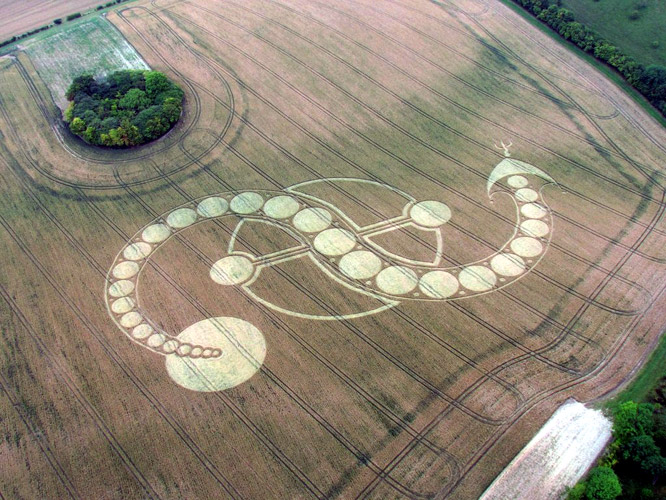 Inverted S Crop Circle West Woodhay Down, Wiltshire UK 29th July 2011.jpg