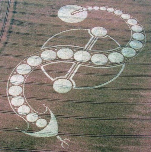 Inverted S Shiva's Trishul Trident  PSI Symbol Crop Circle West Woodhay Down, Wiltshire 29th J...jpg