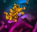 2020 SARS-2 viability NEJM MA.jpg