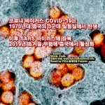 covid-19-china-49597020648_93fee80c1b_c.jpg