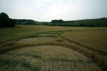 Cosmic Serpent Crop Circle Ground View West Woodhay Down Wiltshire 29th July 2011.jpg
