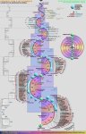 Walter Russell의 우주론과 주기율표(Periodic Table)